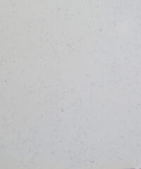 Nuovo Carrara VST-Q8003W