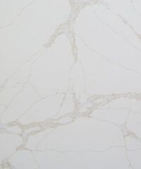 Infinity Gold VST-Q8022